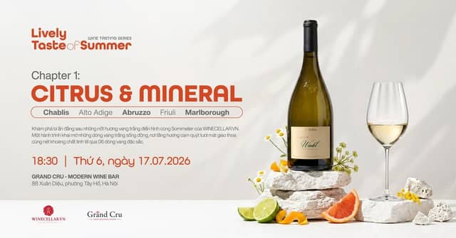 "Lively Taste of Summer" Wine Tasting — Chapter 1: Mineral & Citrus