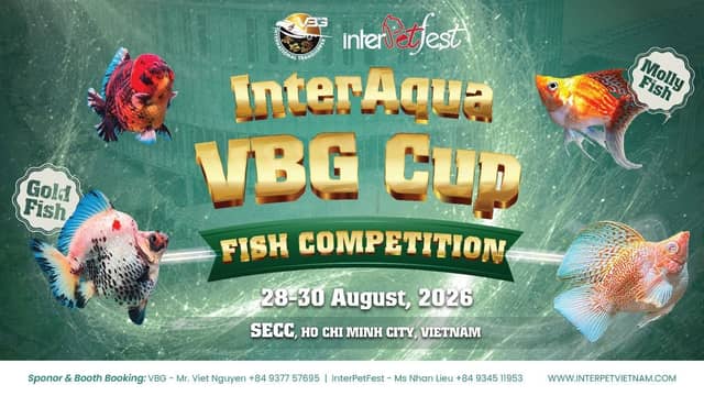 Ornamental fish competition «InterAqua VBG Cup 2026»