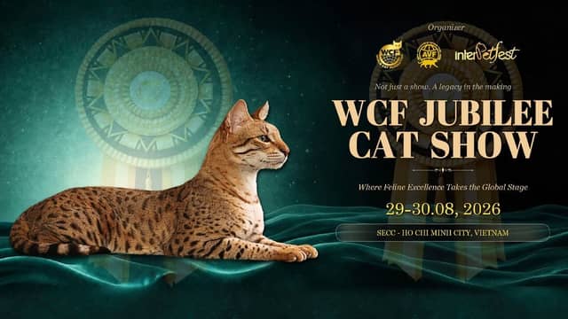 Triển lãm mèo quốc tế «WCF Jubilee Cat Show 2026»