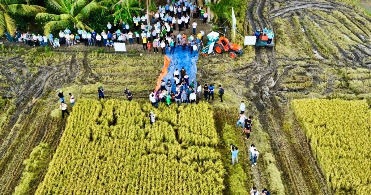Festival «Quốc tế Ngành hàng Lúa gạo Việt Nam lần thứ II – Cần Thơ 2026»